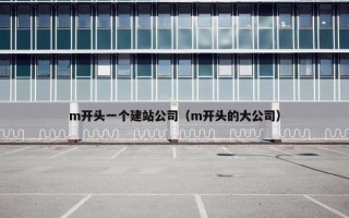 m开头一个建站公司（m开头的大公司）