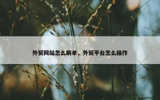 外贸网站怎么刷单，外贸平台怎么操作