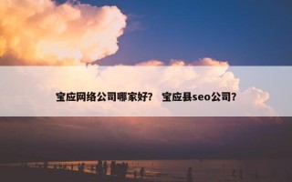 宝应网络公司哪家好？ 宝应县seo公司？