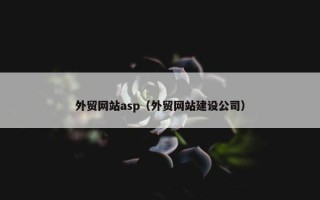 外贸网站asp（外贸网站建设公司）