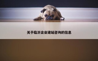 关于临沂企业建站咨询的信息