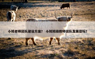小班老师团队建设方案？ 小班班级教师团队发展目标？