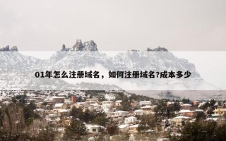 01年怎么注册域名，如何注册域名?成本多少