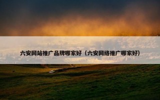 六安网站推广品牌哪家好（六安网络推广哪家好）