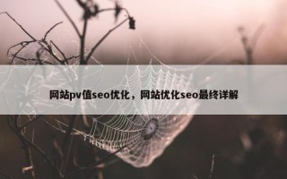 网站pv值seo优化，网站优化seo最终详解