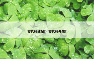 零代码建站？ 零代码开发？