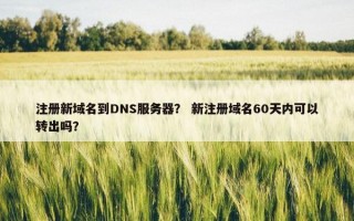 注册新域名到DNS服务器？ 新注册域名60天内可以转出吗？