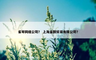 雀琴网络公司？ 上海雀鹊贸易有限公司？