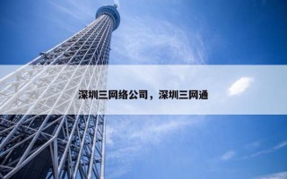 深圳三网络公司，深圳三网通