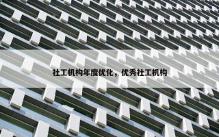 社工机构年度优化，优秀社工机构