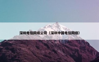 深圳电信网络公司（深圳中国电信网络）