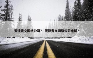天津斐文网络公司？ 天津斐文网络公司电话？