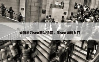 如何学习seo网站运营，学seo如何入门
