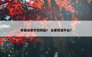 安徽谷歌外贸网站？ 谷歌贸易平台？
