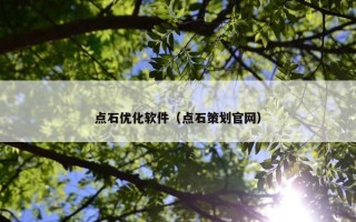 点石优化软件（点石策划官网）