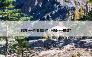 网站seo排名提升？ 网站seo排位？