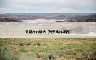 外贸出口建站（外贸出口项目）