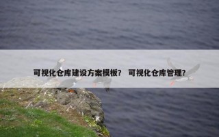 可视化仓库建设方案模板？ 可视化仓库管理？