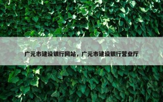 广元市建设银行网站，广元市建设银行营业厅