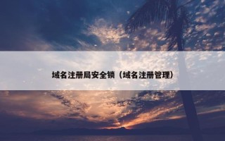 域名注册局安全锁（域名注册管理）