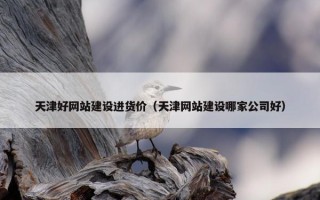 天津好网站建设进货价（天津网站建设哪家公司好）