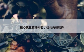核心优化软件排名，优化内核软件