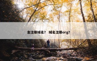 金注册域名？ 域名注册org？
