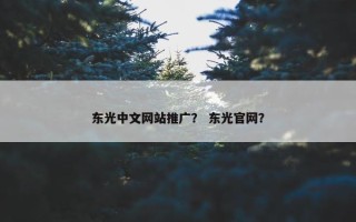 东光中文网站推广？ 东光官网？