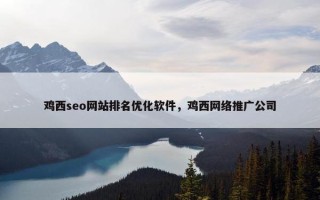 鸡西seo网站排名优化软件，鸡西网络推广公司