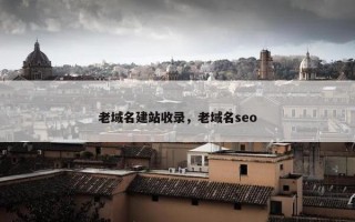 老域名建站收录，老域名seo