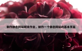 制作静态网站期末作业，制作一个静态网站的基本页面