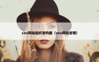 seo网站组织架构图（seo网站管理）