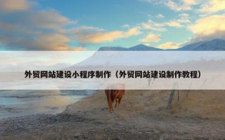 外贸网站建设小程序制作（外贸网站建设制作教程）