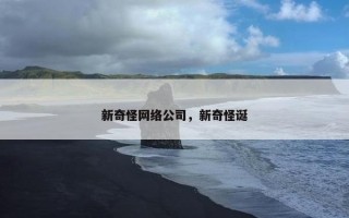 新奇怪网络公司，新奇怪诞