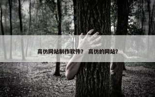 高仿网站制作软件？ 高仿的网站？