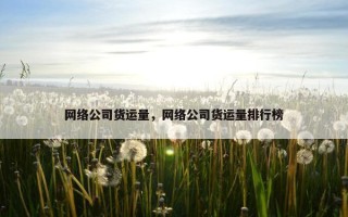 网络公司货运量，网络公司货运量排行榜