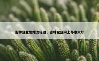 吉林企业建站流程图，吉林企业网上办事大厅
