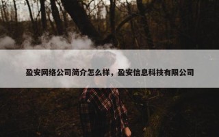 盈安网络公司简介怎么样，盈安信息科技有限公司