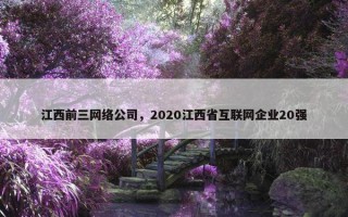 江西前三网络公司，2020江西省互联网企业20强