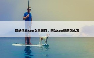 网站优化seo文章题目，网站seo标题怎么写