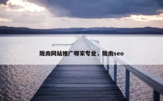陇南网站推广哪家专业，陇南seo