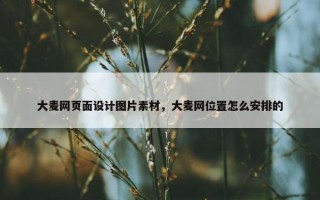 大麦网页面设计图片素材，大麦网位置怎么安排的