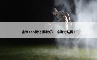 南海seo优化哪家好？ 南海论坛网？