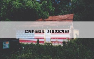 辽阳抖音优化（抖音优化方案）