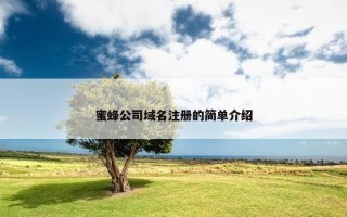 蜜蜂公司域名注册的简单介绍