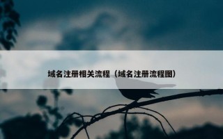 域名注册相关流程（域名注册流程图）
