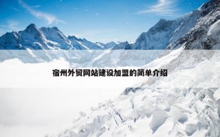 宿州外贸网站建设加盟的简单介绍