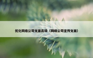 优化网络公司文案高级（网络公司宣传文案）
