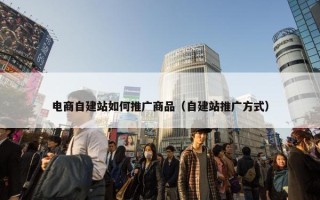 电商自建站如何推广商品（自建站推广方式）