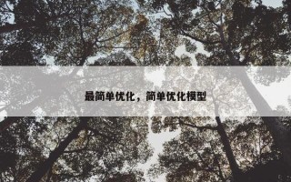 最简单优化，简单优化模型